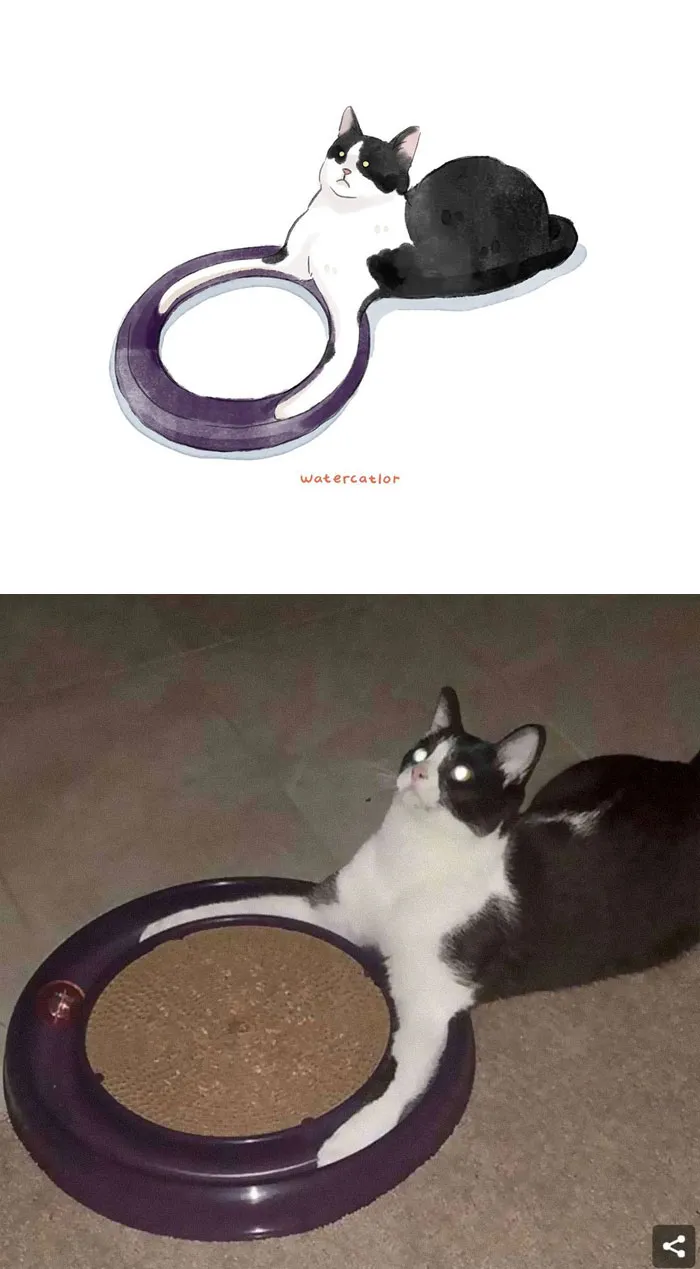 30 Of The Funniest Internet-Famous Cat Pics Get 'Watercolorized' By Amelia Rizky (New Pics)