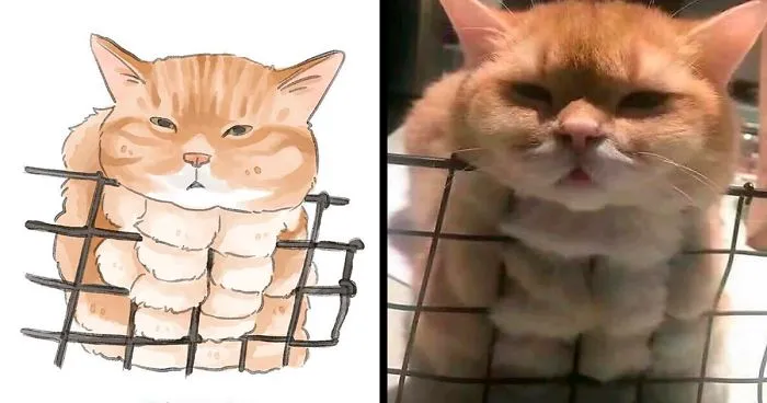 30 Of The Funniest Internet-Famous Cat Pics Get 'Watercolorized' By Amelia Rizky (New Pics)