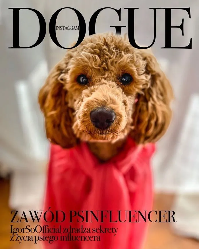 People Are Creating 'Dogue' Covers By Editing Their Dogs Into Them (30 Pics)
