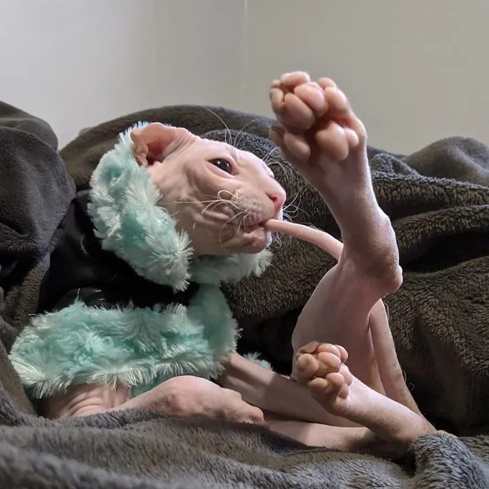 Feeling Cute. Might Delete Later