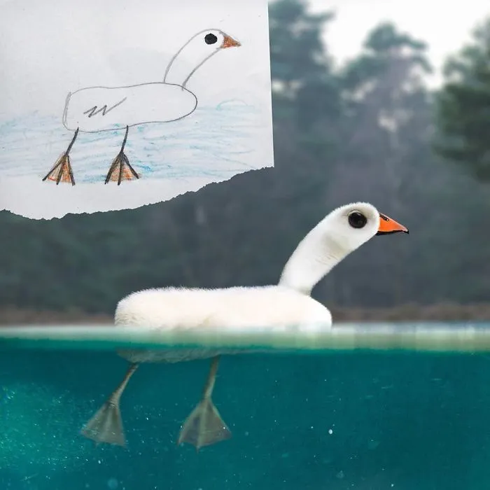 Cutest Duck