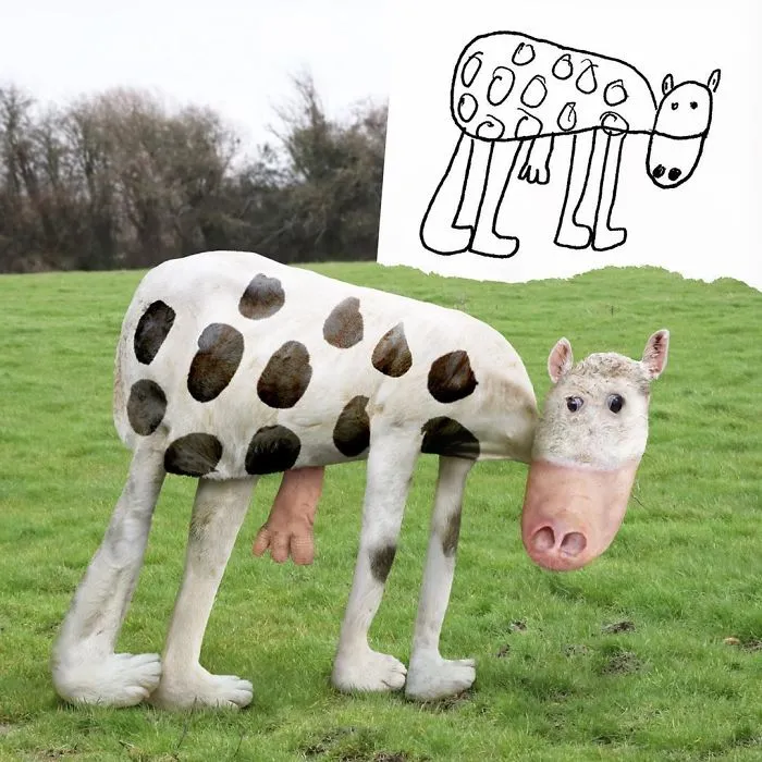 Moo?