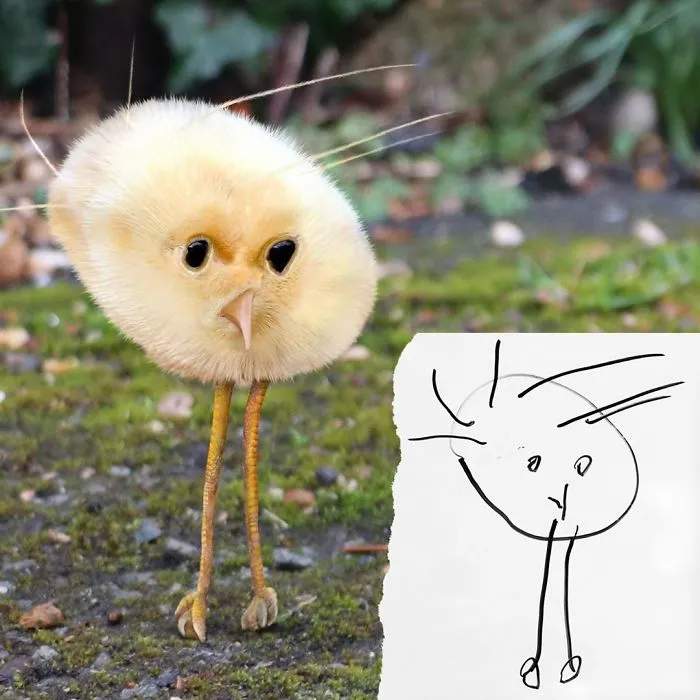 Real Life Chicken Nugget