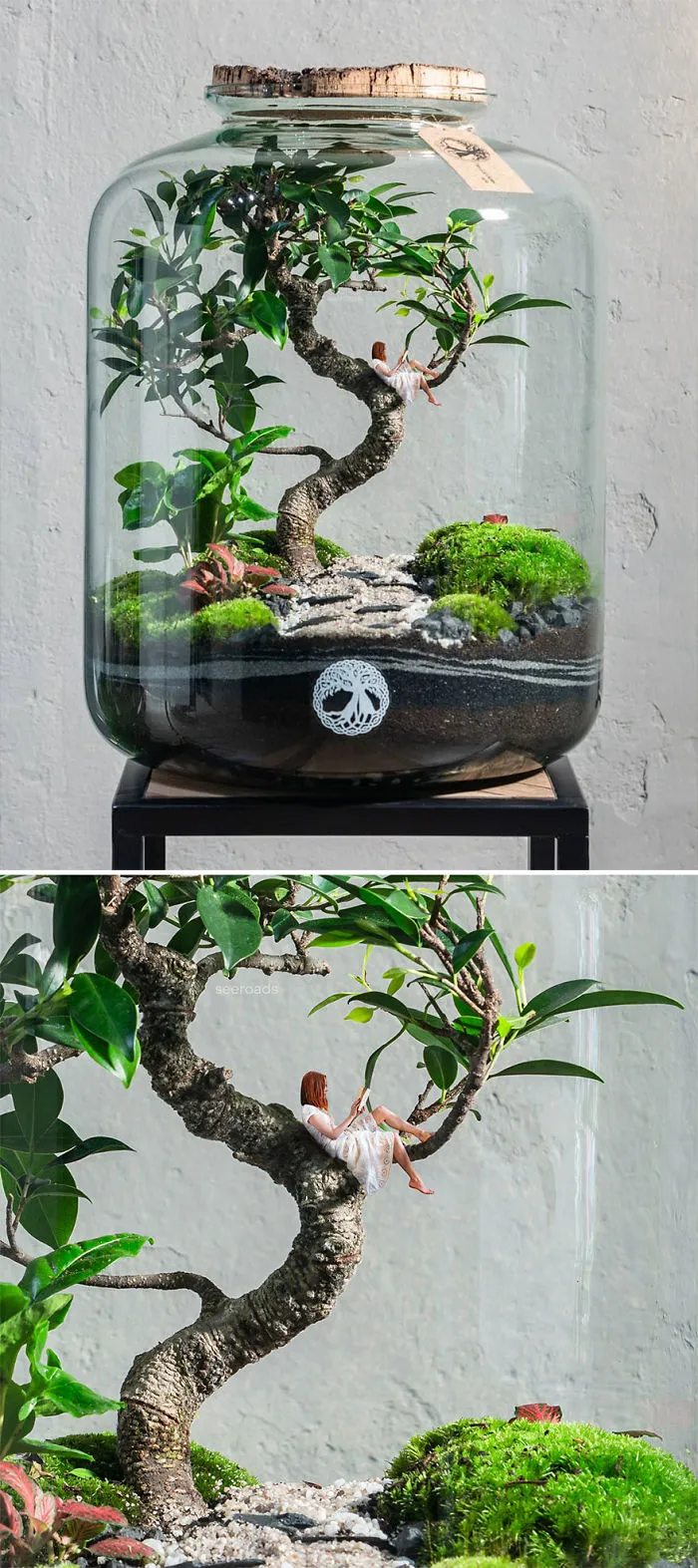 Own Tiny Garden