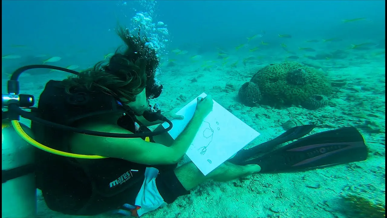 Artist Draws Underwater