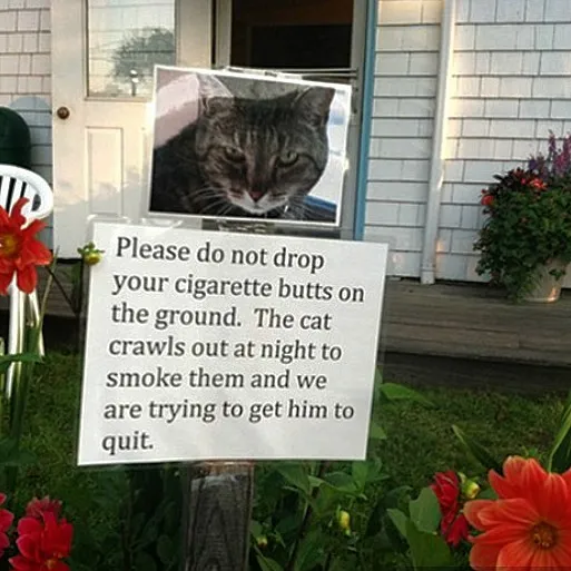People Are Sharing Their Examples Of 'Neighbors From Hell' On This Instagram Page (30 Pics)