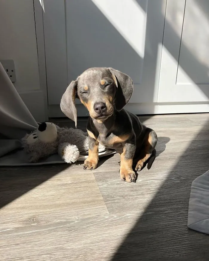The Feel Of That Sun On Ya Skin