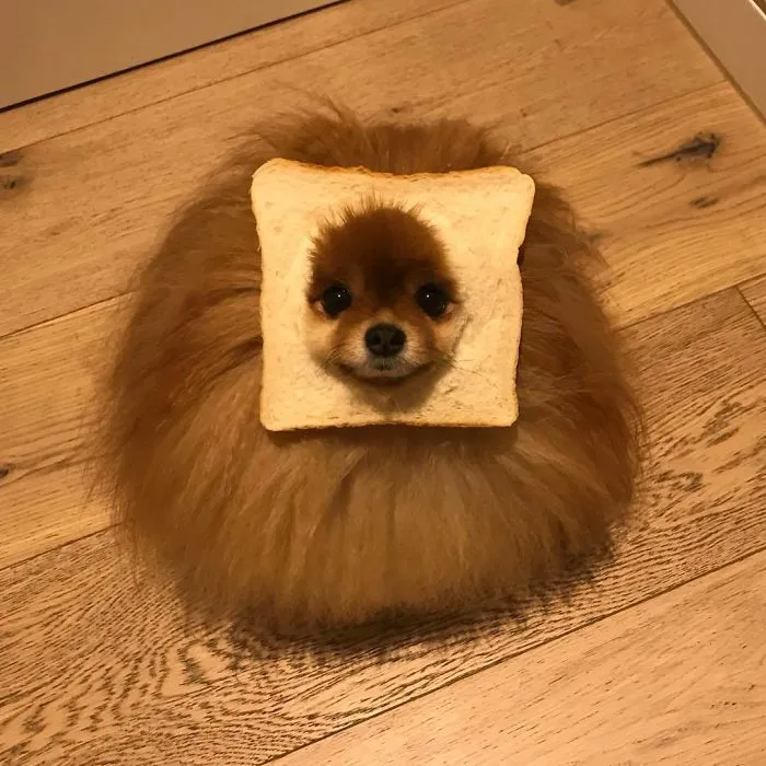 Waiting For The Butter To Spread Like