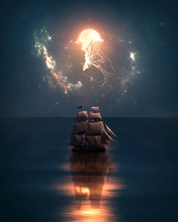 Jelly Moon Fish