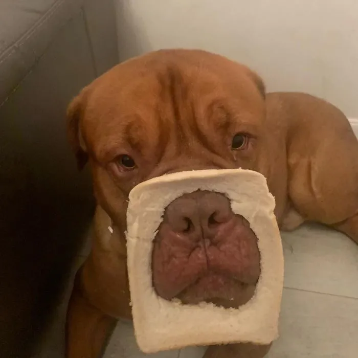 Not Impressed