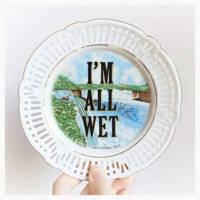 Thrifted Vintage Plates Made Irreverent With Typography By Marie-Claude Marquis (62 Pics)