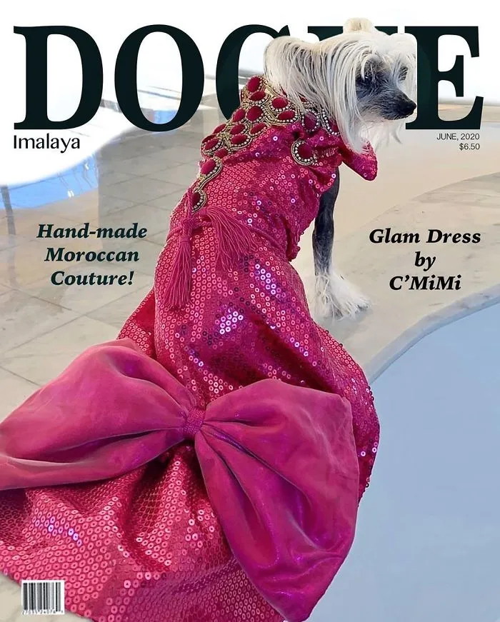 People Are Creating 'Dogue' Covers By Editing Their Dogs Into Them (30 Pics)