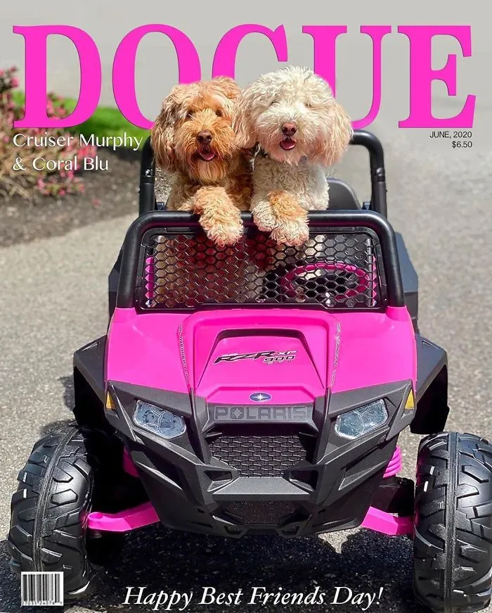 People Are Creating 'Dogue' Covers By Editing Their Dogs Into Them (30 Pics)