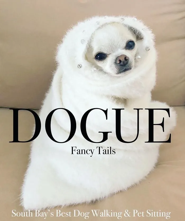 People Are Creating 'Dogue' Covers By Editing Their Dogs Into Them (30 Pics)