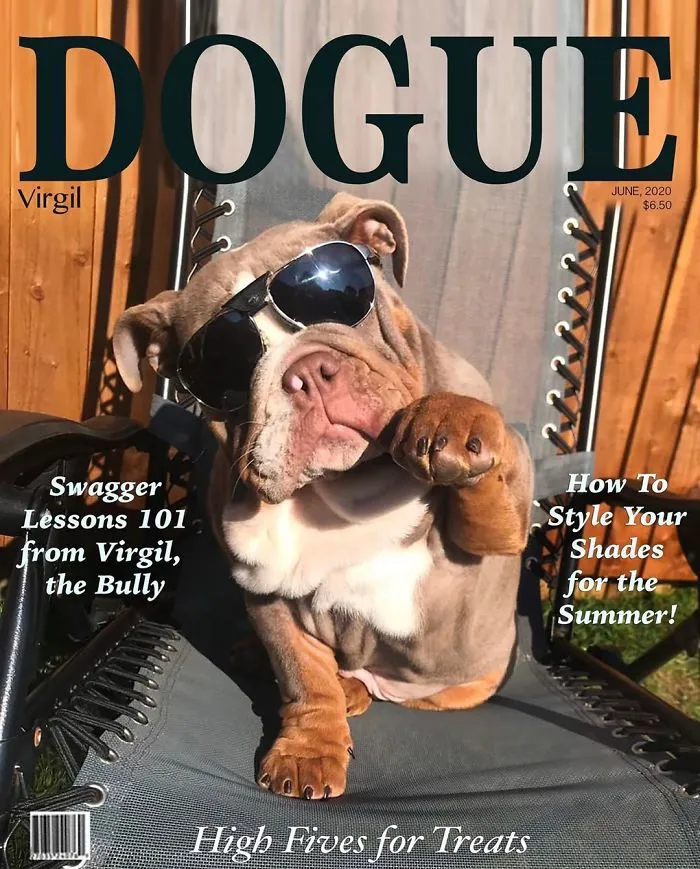 People Are Creating 'Dogue' Covers By Editing Their Dogs Into Them (30 Pics)