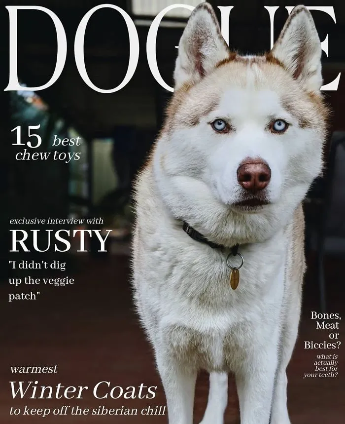 People Are Creating 'Dogue' Covers By Editing Their Dogs Into Them (30 Pics)