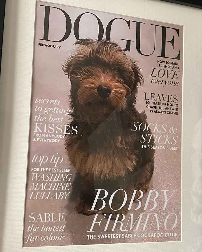 People Are Creating 'Dogue' Covers By Editing Their Dogs Into Them (30 Pics)