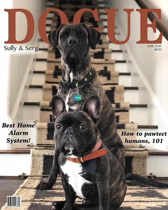People Are Creating 'Dogue' Covers By Editing Their Dogs Into Them (30 Pics)