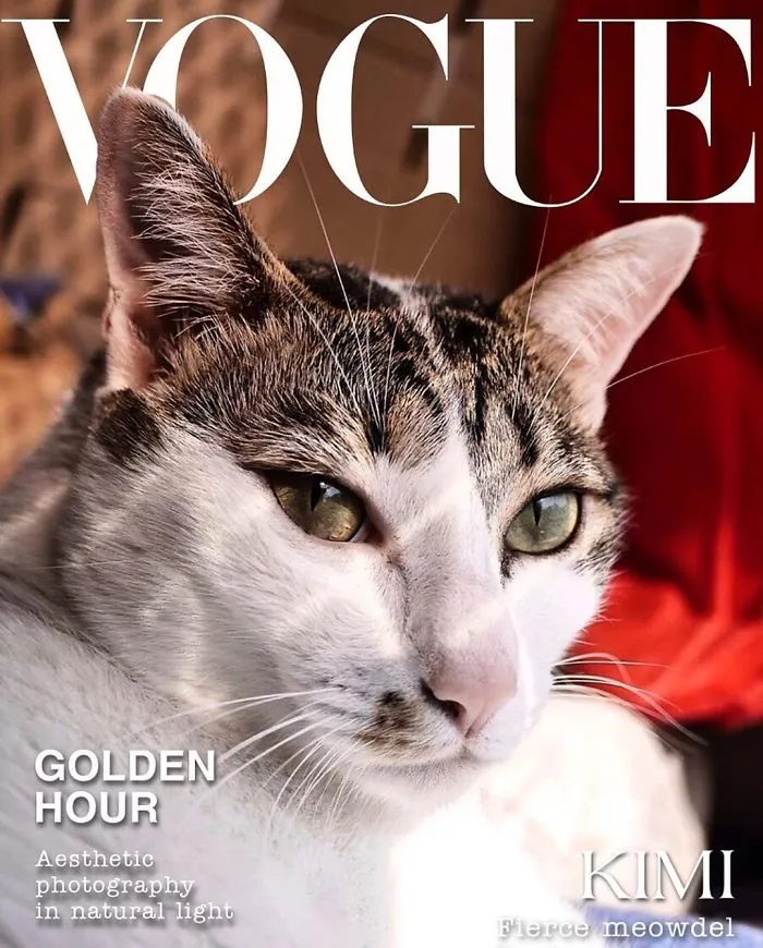 People Are Creating 'Dogue' Covers By Editing Their Dogs Into Them (30 Pics)
