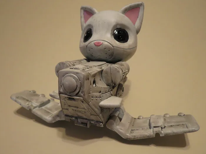 Catplane