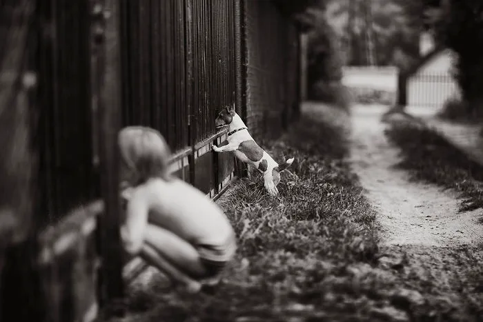 I Document My Kids’ Carefree Childhood, Spending Idyllic Summers In The Polish Countryside (42 New Pics)