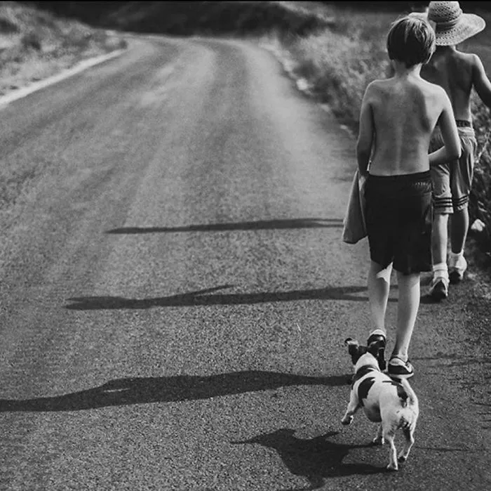 I Document My Kids’ Carefree Childhood, Spending Idyllic Summers In The Polish Countryside (42 New Pics)