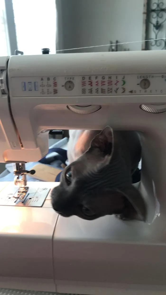 Are You Making More Masks?