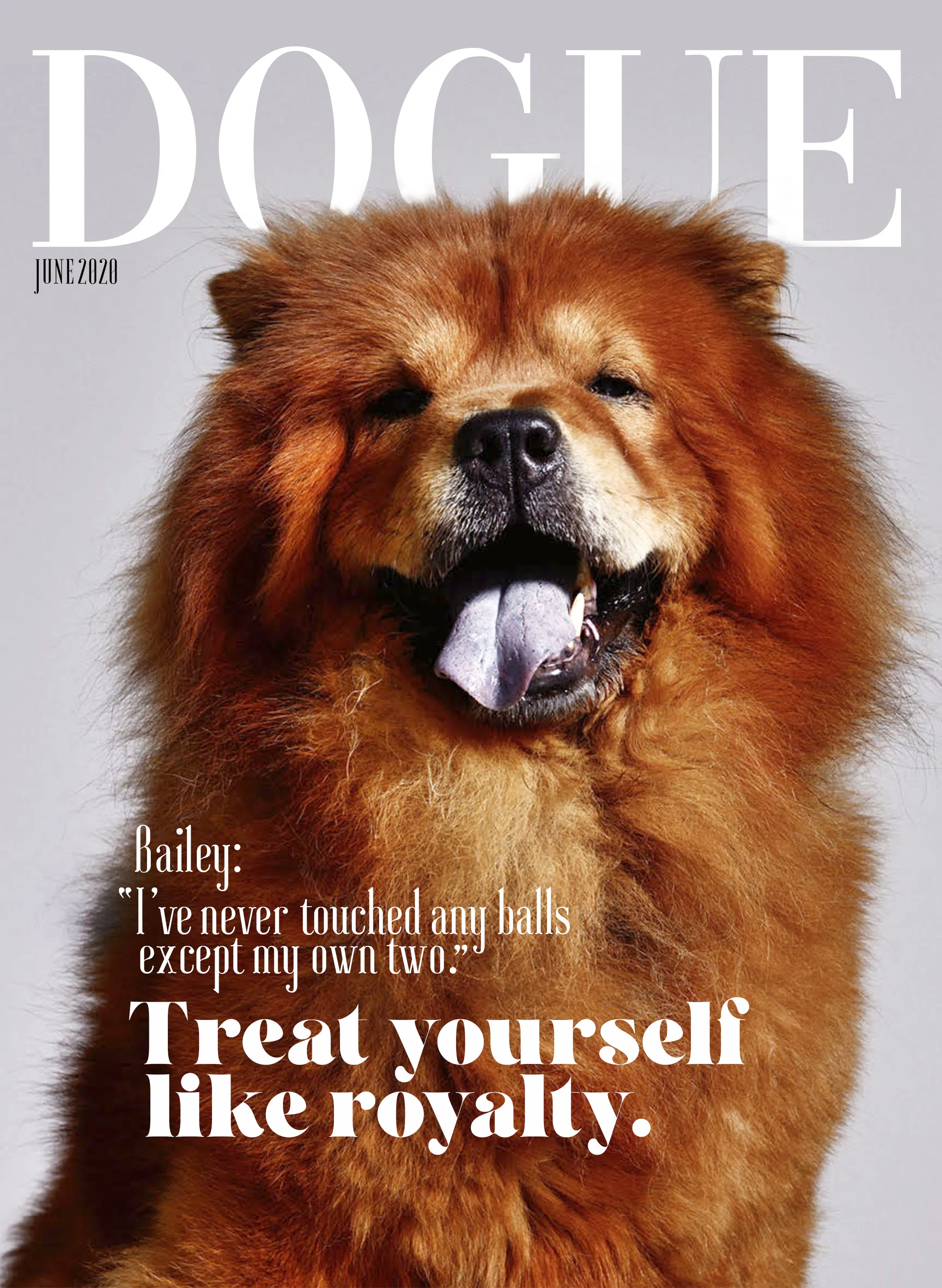 Chow-Chow ‘Dogue’ Cover