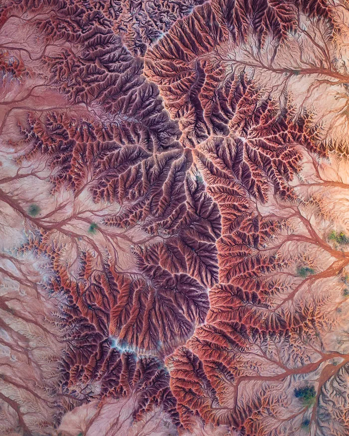 Desert Sunset