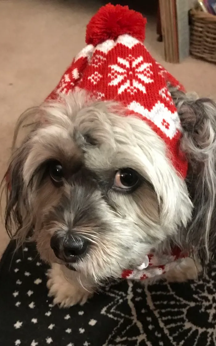 Why Do You Make Me Wear These Ridiculous Hats?