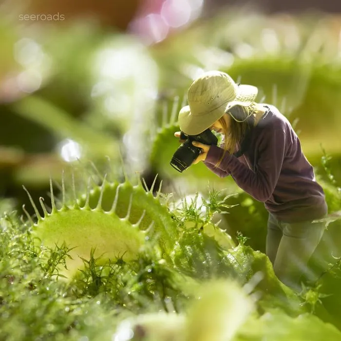 Exploring Exotic Plants From Up Close