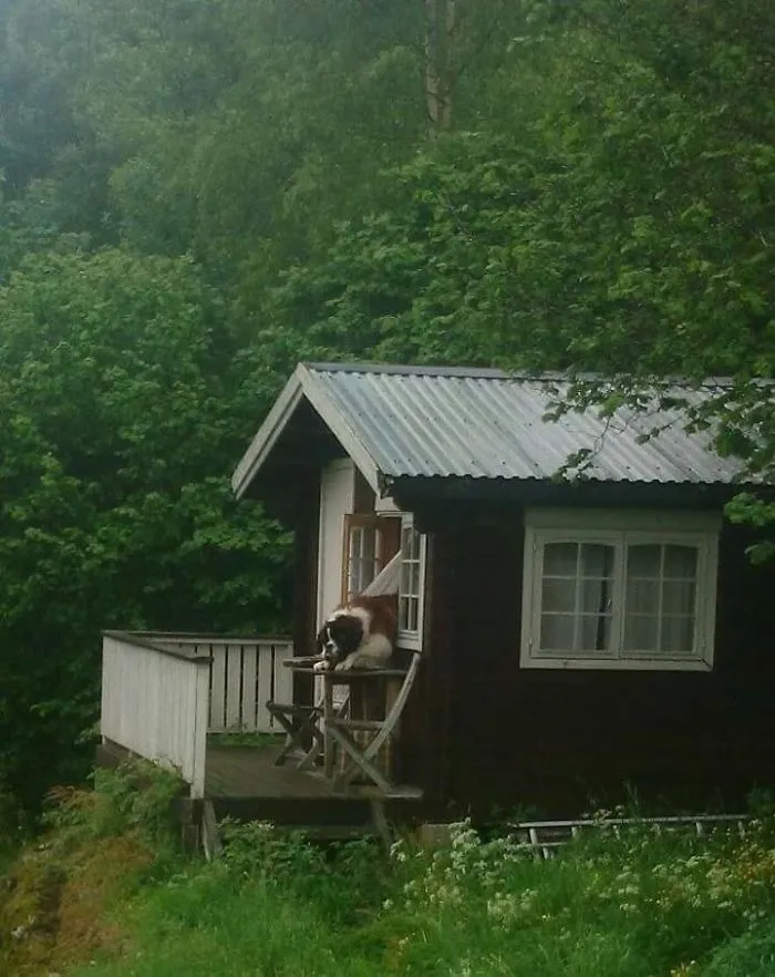 If You Lock The Door, I Just Open The Window Instead