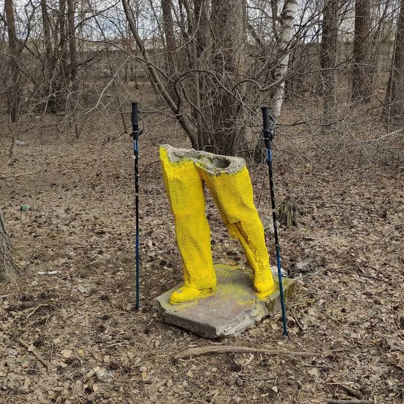 How To Use Nordic Walking Sticks