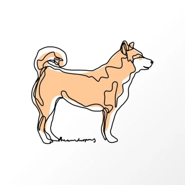 Shiba Inu