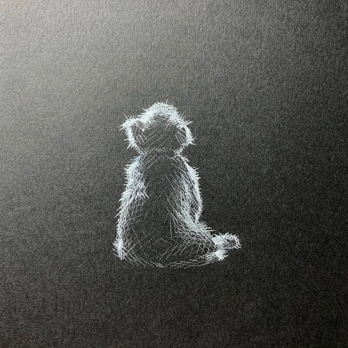 I Add White Light On Black Paper Instead Of Shadows (37 Pics)
