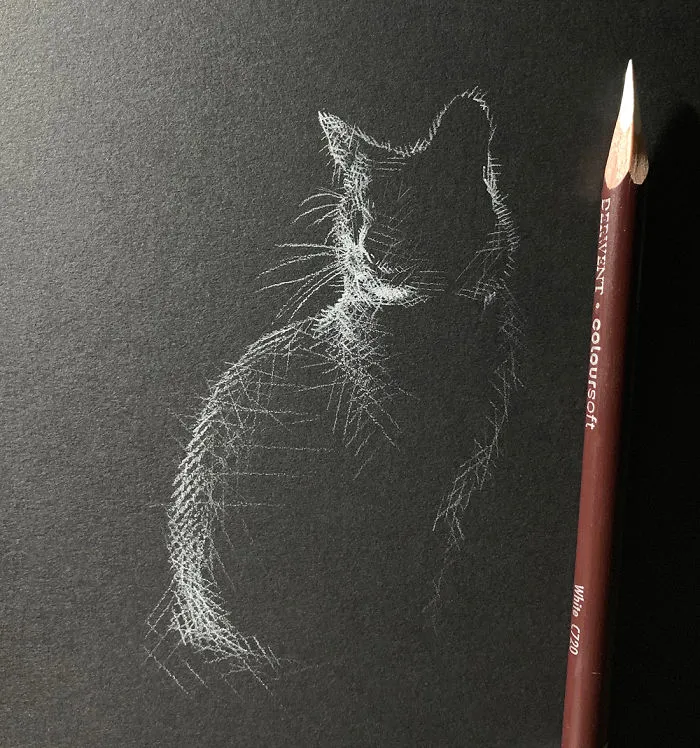 I Add White Light On Black Paper Instead Of Shadows (37 Pics)