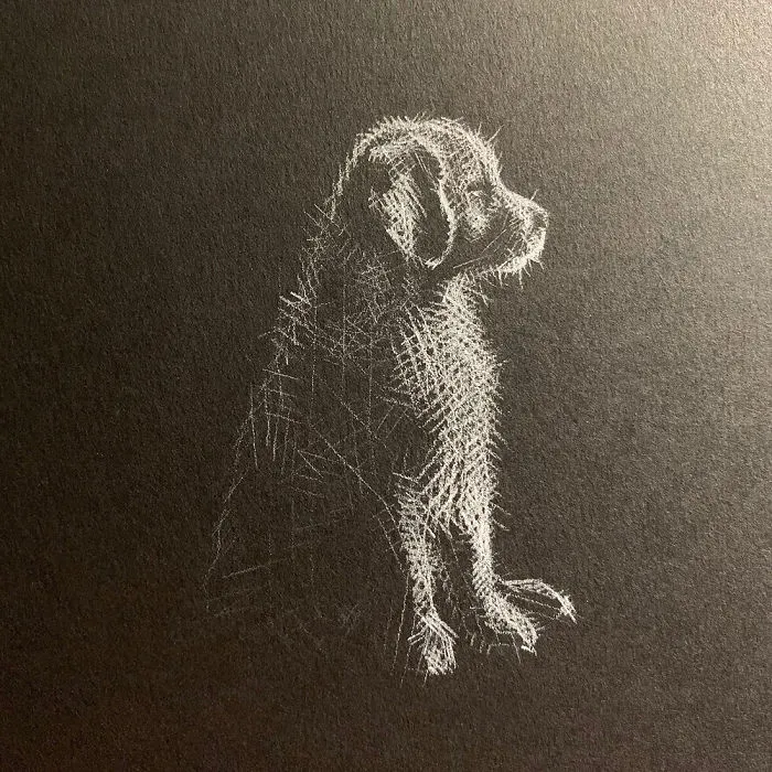 I Add White Light On Black Paper Instead Of Shadows (37 Pics)