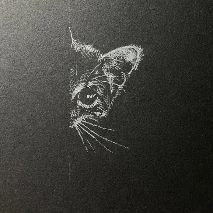I Add White Light On Black Paper Instead Of Shadows (37 Pics)