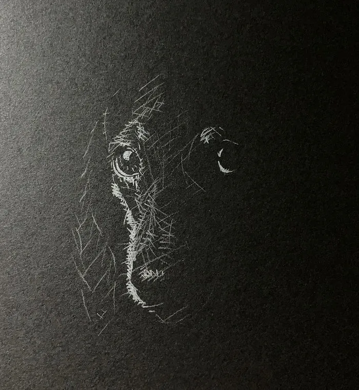 I Add White Light On Black Paper Instead Of Shadows (37 Pics)