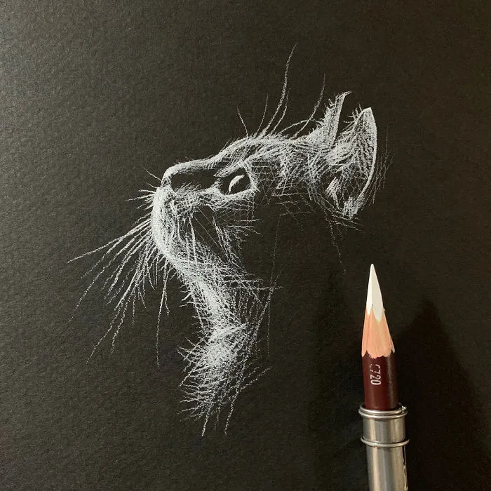 I Add White Light On Black Paper Instead Of Shadows (37 Pics)