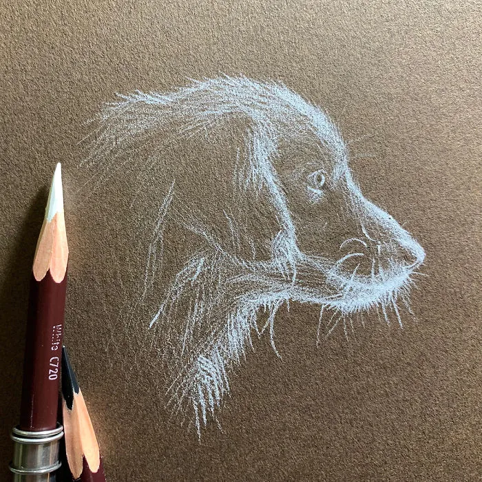 I Add White Light On Black Paper Instead Of Shadows (37 Pics)
