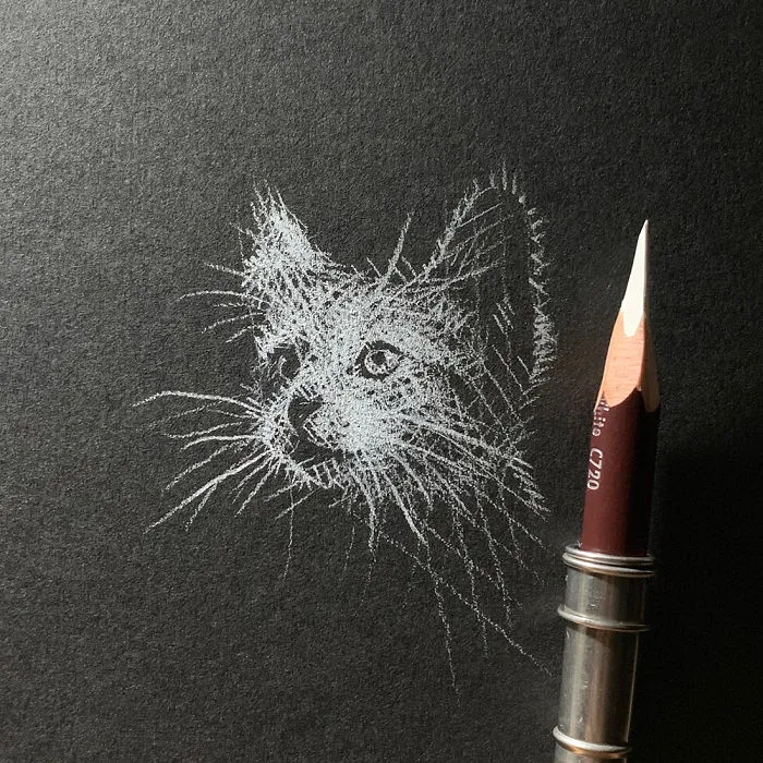 I Add White Light On Black Paper Instead Of Shadows (37 Pics)
