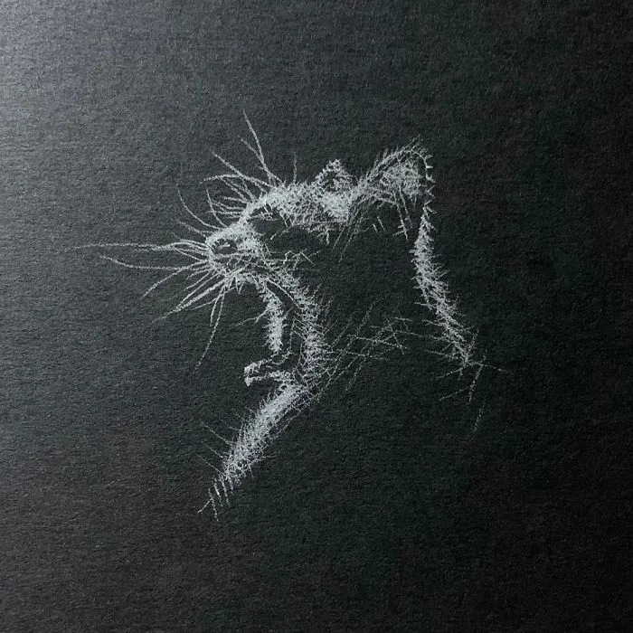 I Add White Light On Black Paper Instead Of Shadows (37 Pics)
