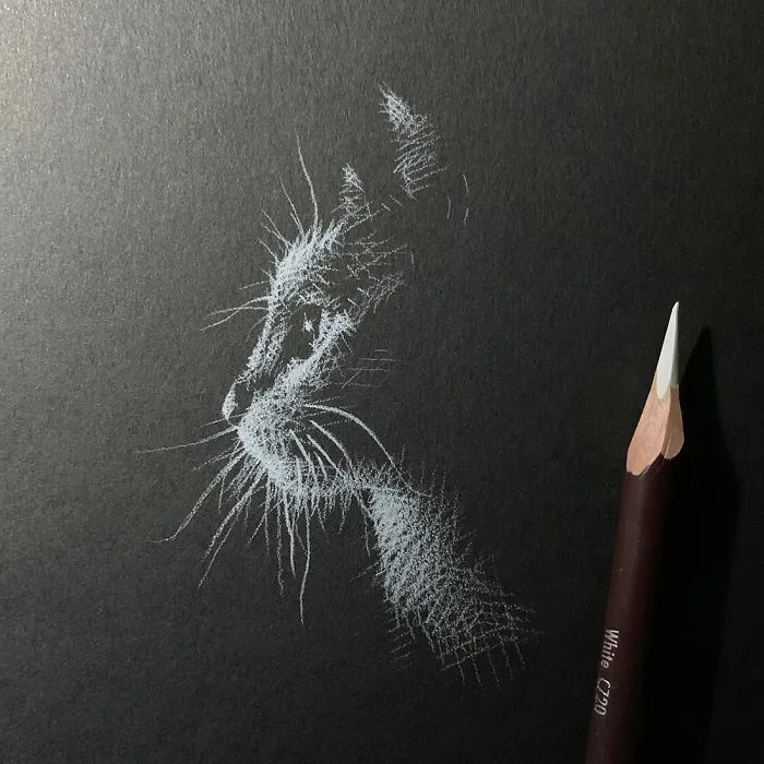 I Add White Light On Black Paper Instead Of Shadows (37 Pics)
