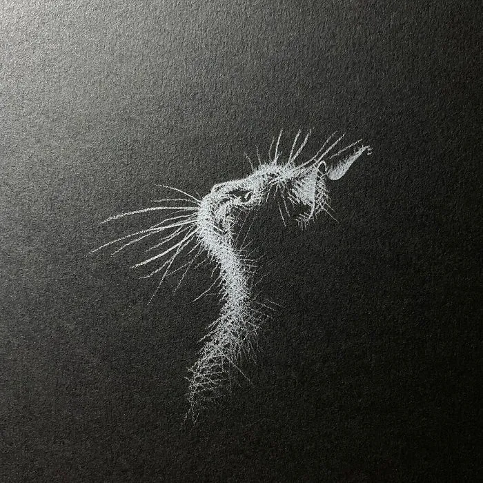 I Add White Light On Black Paper Instead Of Shadows (37 Pics)