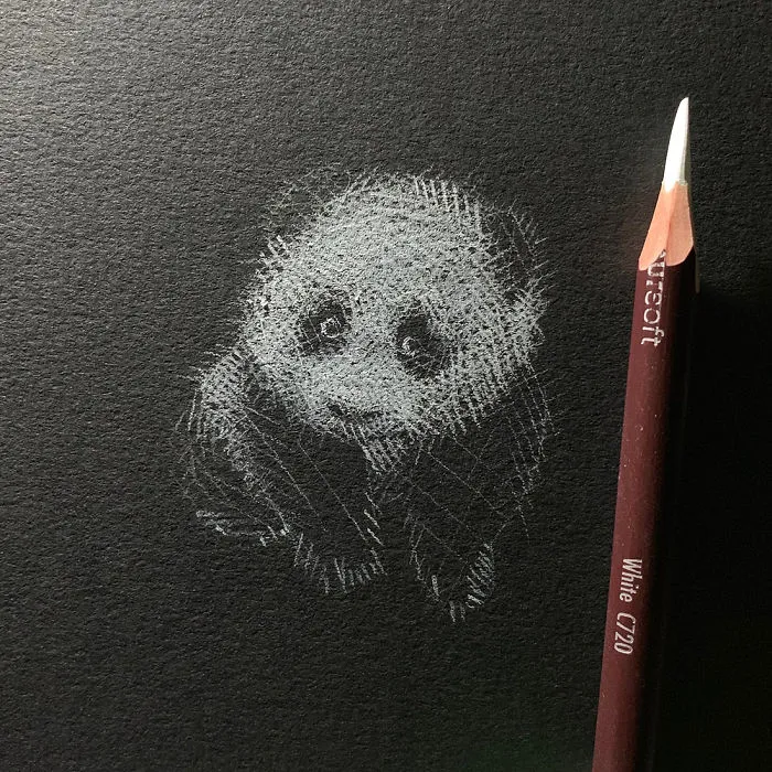I Add White Light On Black Paper Instead Of Shadows (37 Pics)