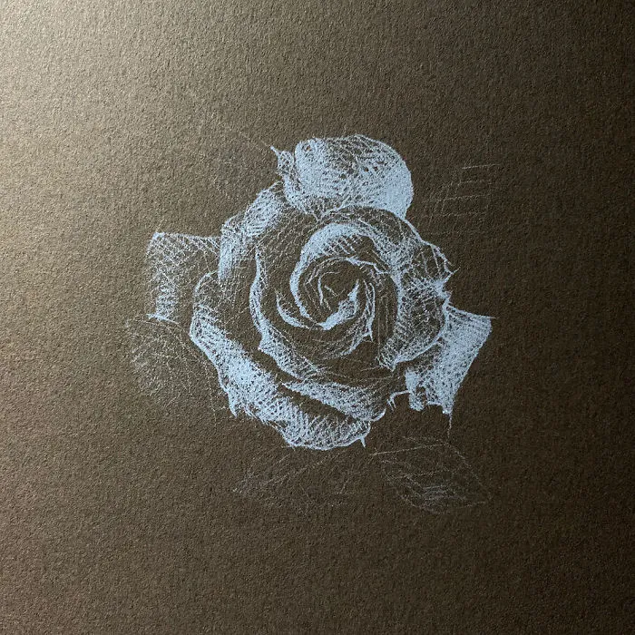 I Add White Light On Black Paper Instead Of Shadows (37 Pics)