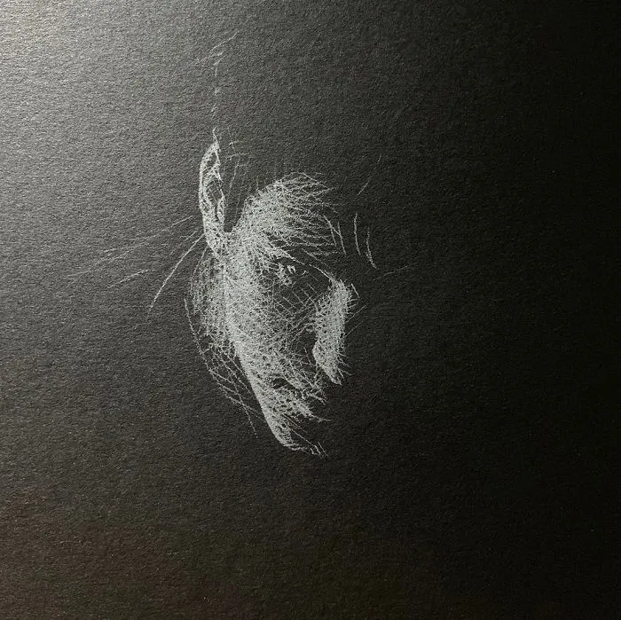I Add White Light On Black Paper Instead Of Shadows (37 Pics)