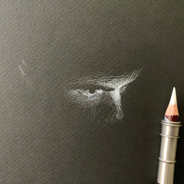 I Add White Light On Black Paper Instead Of Shadows (37 Pics)