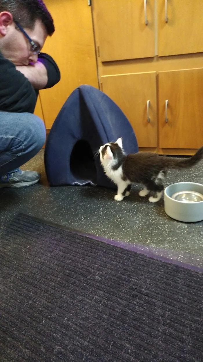 El peludo más adorable minutos después de llegar a casa